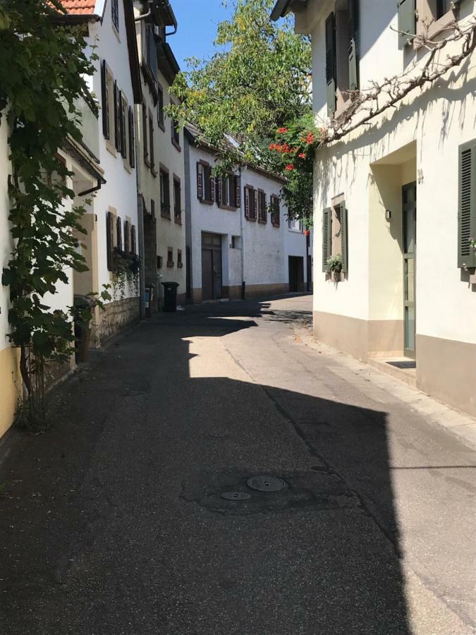 Ferienwohnung Eulenhof Нойштадт-ан-дер-Вайнштрасе Екстер'єр фото